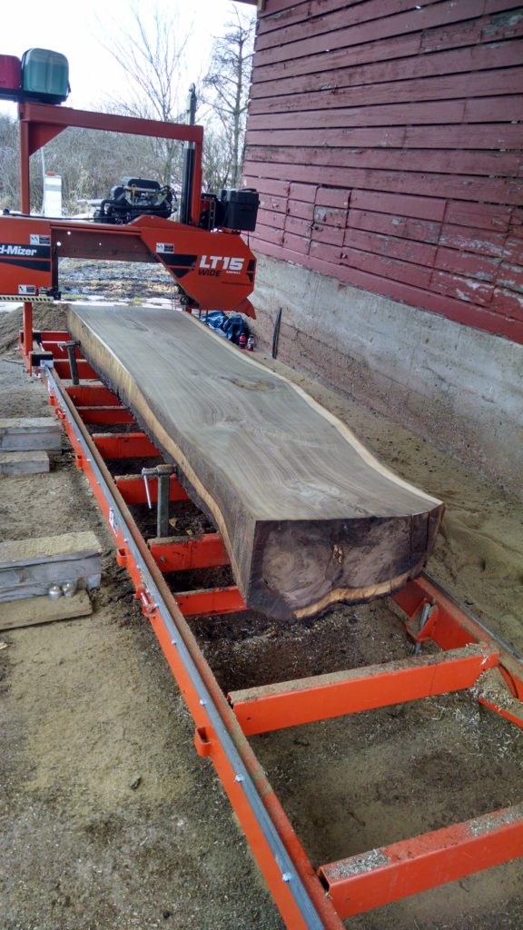 Large Walnut Log